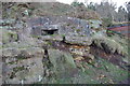 NZ0768 : Pillbox in a Disused Quarry by peter maddison