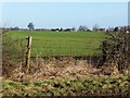 Unused field gate, off the B6285