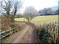 Bend in lane to Holly House near Parc Seymour