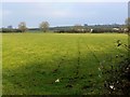 Field near Bournelake Farm, Leigh, Wiltshire