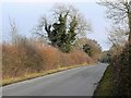 Minor road from Waterhay, Leigh, Wiltshire