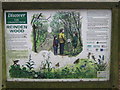 Close-up of Reinden Wood Information Board