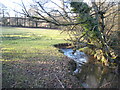 Stream alongside pasture at Benny Mill