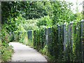 Path beside the Ravensbourne Allotments