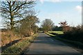 Ryes Lane, heading towards Little Henny village