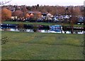 Evening Sun on the Avon 