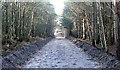 SU7661 : Footpath in Heath Warren Wood by Graham Horn