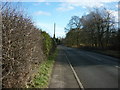 The Avenue towards Normanby Village