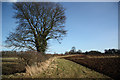 Walmsgate farmland