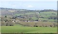 Fields by the A303