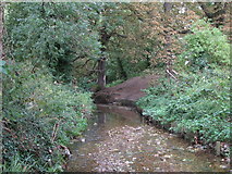TQ3870 : The River Ravensbourne west of Calmont Road, BR1 (2) by Mike Quinn