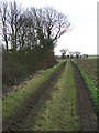 Footpath To Hargrave