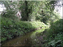 TQ3870 : The River Ravensbourne west of Calmont Road, BR1 (9) by Mike Quinn