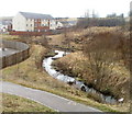 Small stream flowing towards Waun Pond