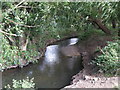 The River Ravensbourne south of Brangbourne Road, BR1