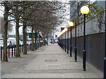 TQ3881 : Row of bollards, row of trees, row of lamps by Robin Webster