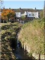 The River Ravensbourne - Downham Branch, south of Downham Way, BR1 (3)