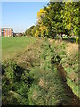 The River Ravensbourne - Downham Branch, north of Farmfield Road, BR1 (5)