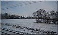 Snow covered landscape , Kings Langley