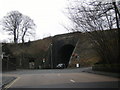 Palmerston Street and the Aqueduct,Bollington