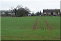 Houses at Moors Farm