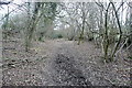 Bridleway from Ley Hill