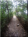 Footpath through golf course, Wimbledon Common