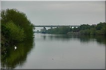 SJ6688 : Manchester Ship Canal by Galatas