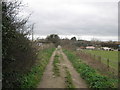 Bridleway to Shottendane Road