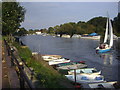 River Thames at Sunbury