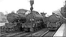 SE5703 : Line-up of steam at Doncaster Station in 1953 by Ben Brooksbank