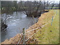 River bank erosion on the Afon Tywi near Llandovery