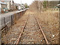 Overgrown railway line, Crosskeys