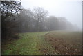 Edge of a field on the way to Cleobury