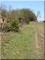 Footpath near Hundon Hall