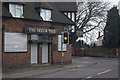 The Beech Tree, Blackheath