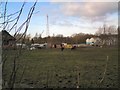 Grazing off Welkin Lane