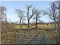 Gateway near Coldside