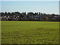 Mickleover and fields