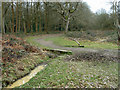 Small bridge, Holmwood Common