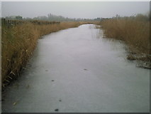 TQ2277 : Frozen lake at the London Wetland Centre by Marathon