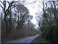 SP1960 : Bearley Road through woodland, dusk by Robin Stott