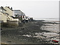 Houses along the shoreline