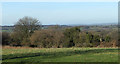 2011 : Panoramic view from Tadhill Lane #1