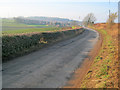 Lane to Little Dewchurch