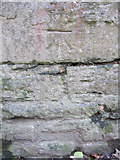 SJ1876 : Bench mark alongside the old railway line to Holywell Town - 1 by John S Turner