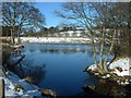 Winter chills the pond at Dunecht