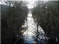 The Barnsley Canal, south of Royston Bridge