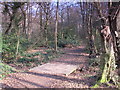 Footbridge over a minor tributary of the Kyd Brook, Darrick Wood