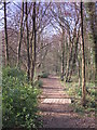 Footpath in Darrick Wood (4)